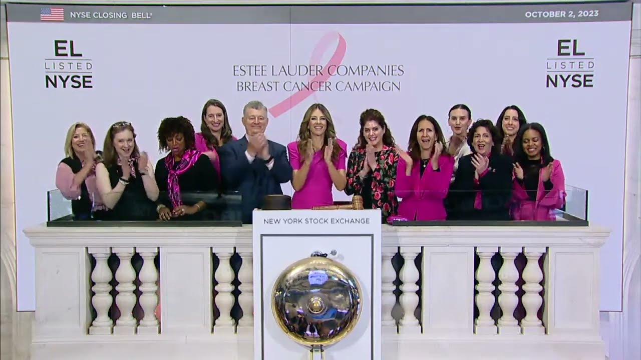 THE EST E LAUDER COMPANIES INC EL visual data 6