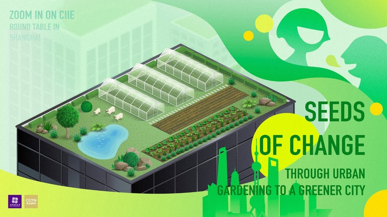Watch: Seeds of Change – Through urban gardening to a greener city ...