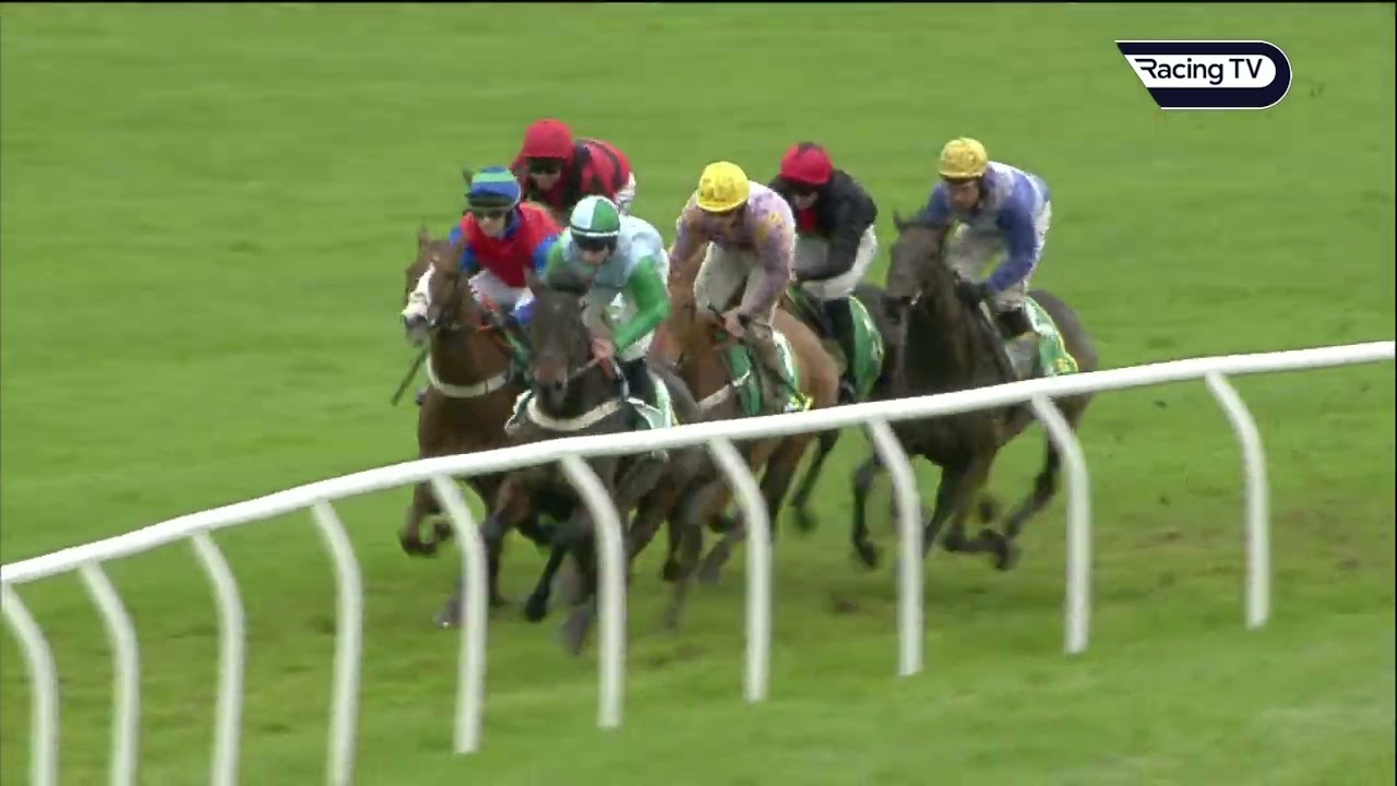 Cheltenham Festival heroine YOU WEAR IT WELL makes winning return at