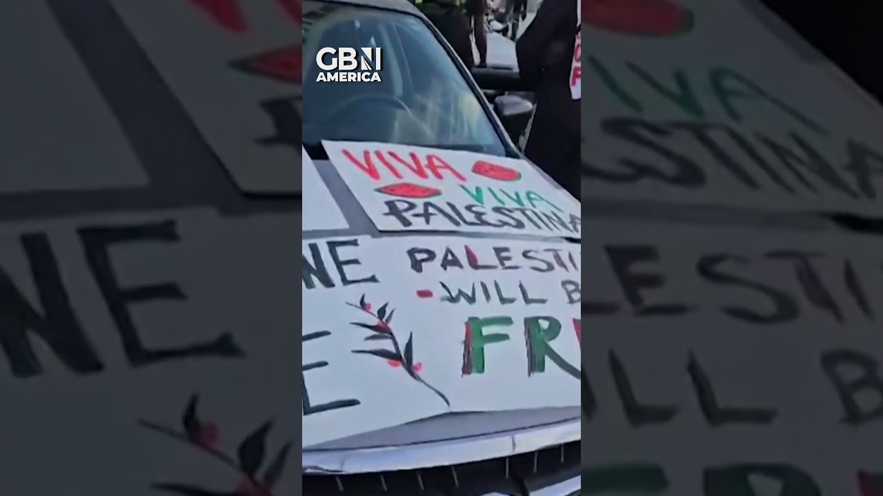 Pro-Palestine demonstrators SHUT DOWN San Francisco Bay Bridge # ...