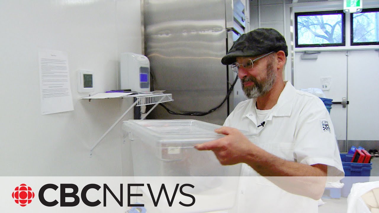 No sugar, no business How the Rogers strike is impacting bakers across