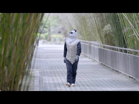 The promise to nature for giant pandas' return to the wild - The Global