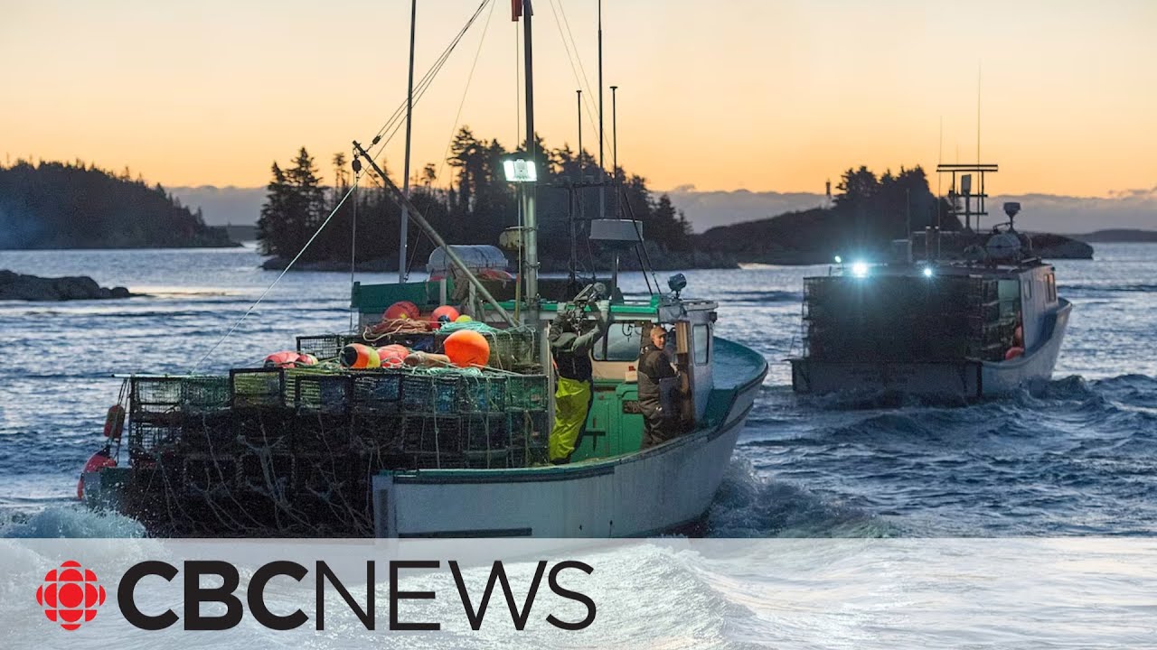 New report slams federal Fisheries Department for poor job monitoring industry The Global Herald