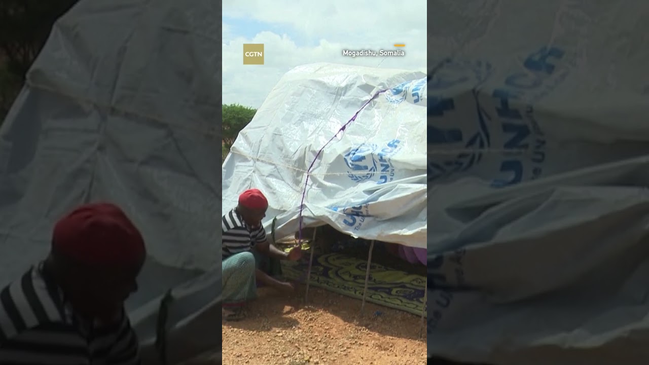 Live Get ready for a featherfilled adventure at Beijing Raptor Rescue