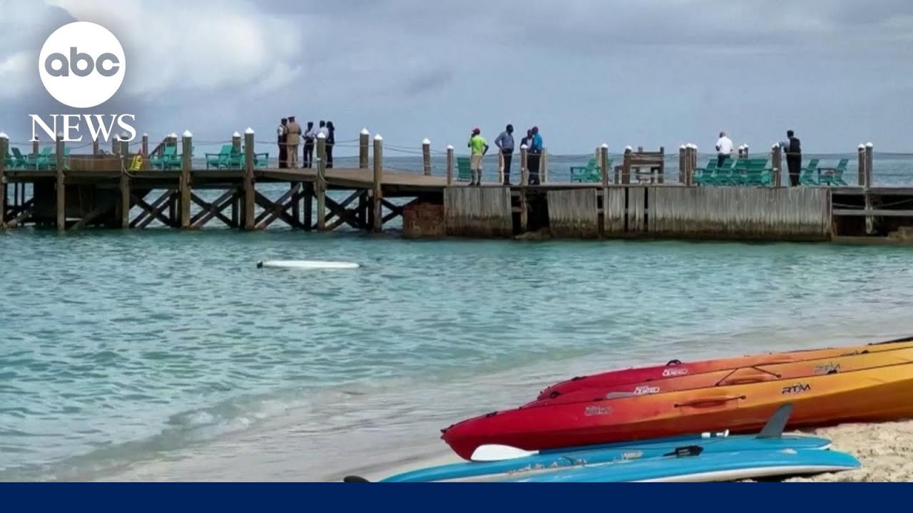 Deadly shark attack in the Bahamas The Global Herald