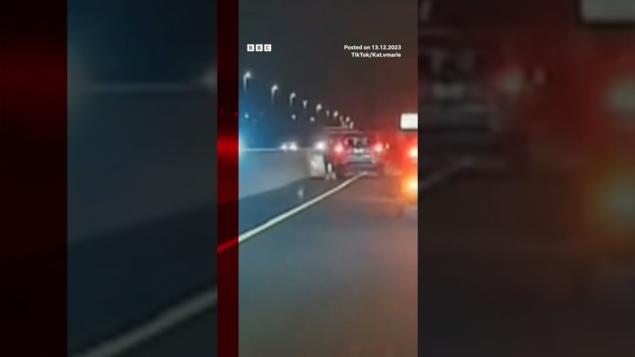 Drivers in new york helped save a dog that was running along a busy