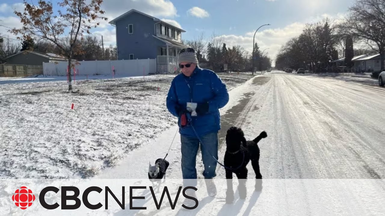 Volunteer dog walkers help seniors keep their pets at home The Global