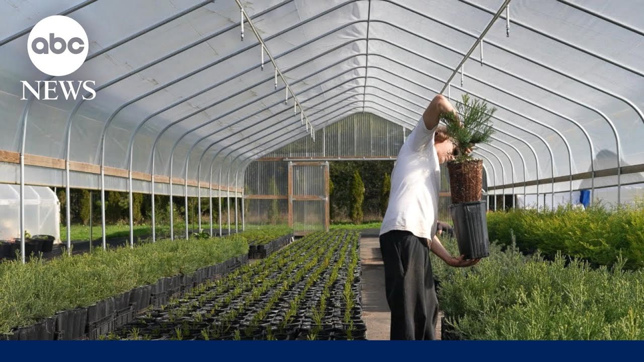 「Interesting」に関連した英語例文の一覧と使い方 - Weblio英語例文検索 visual data 7