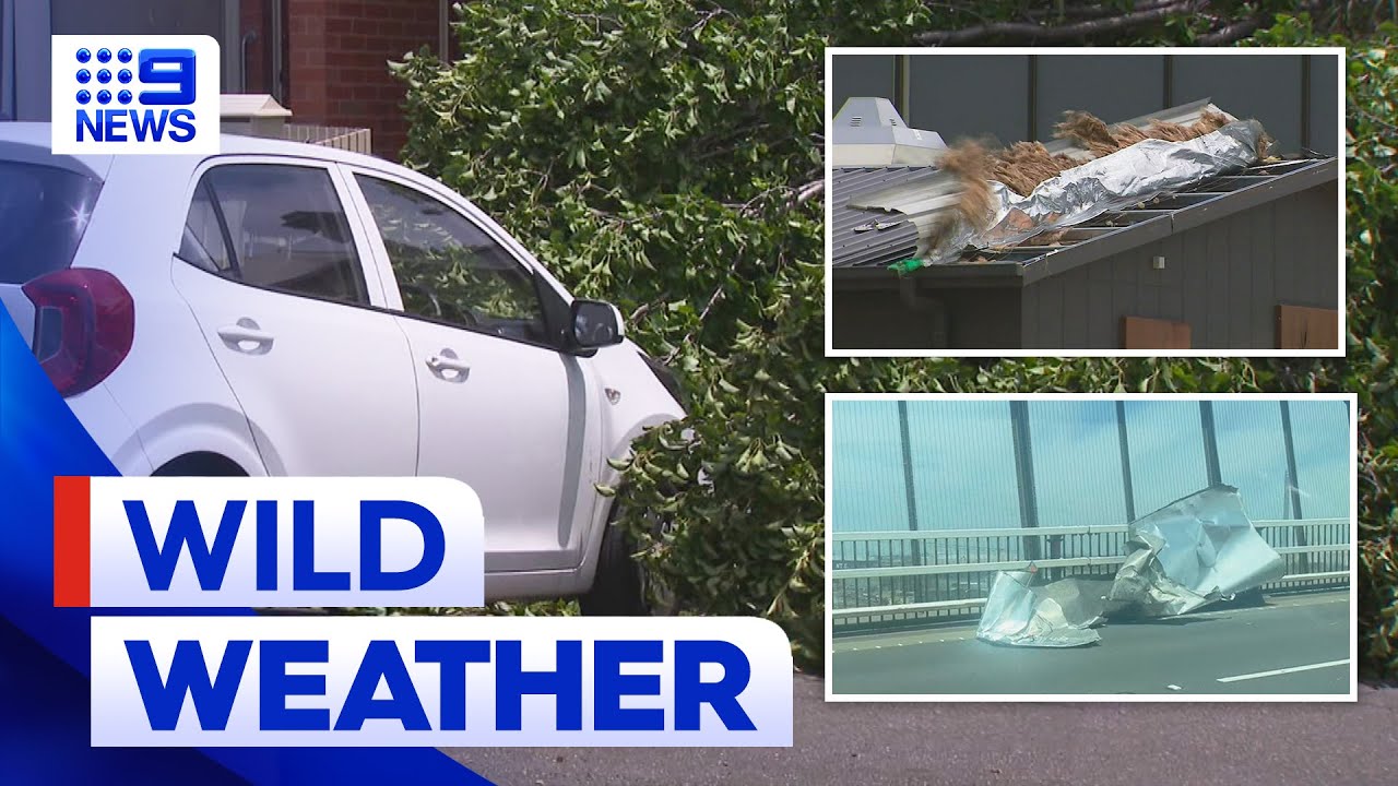 Wild winds bring trees down across Melbourne | 9 News Australia - The ...