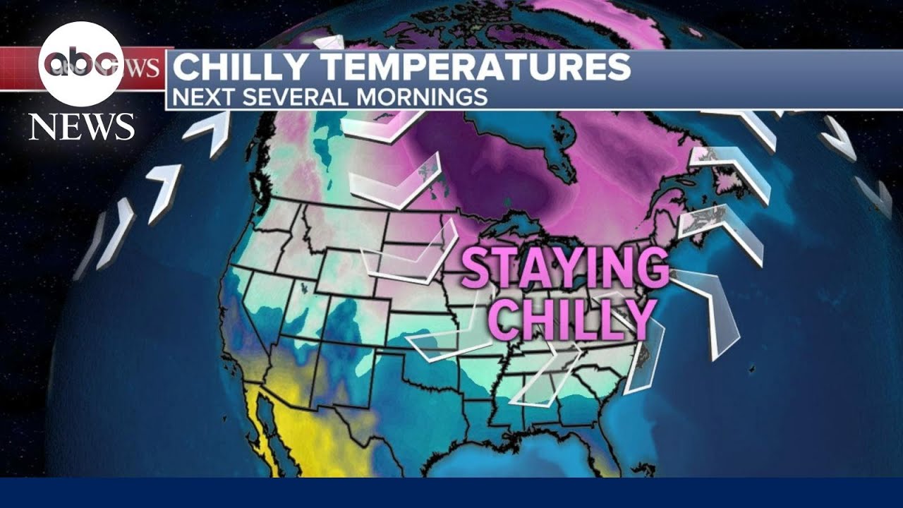 Chilly weather reaching all the way to Florida - The Global Herald