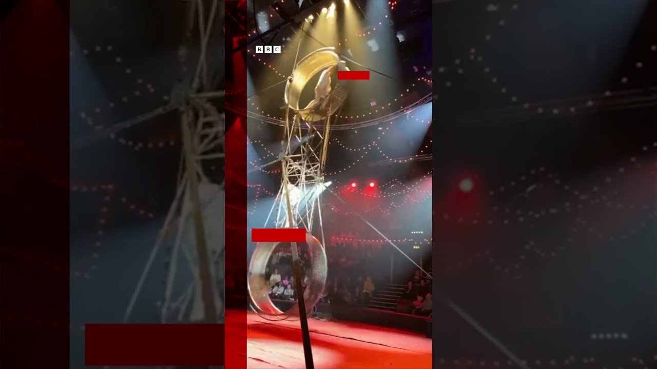Circus performer falls from 'wheel of death'. #Circus #CircusPerformer ...