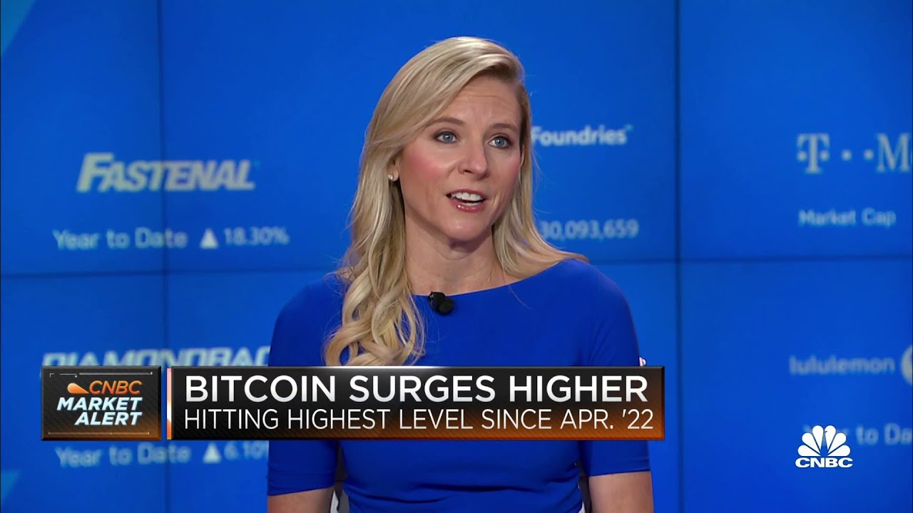 Rate cuts are unlikely to happen until fourth quarter of 2024, says Goldman Sachs' Elizabeth