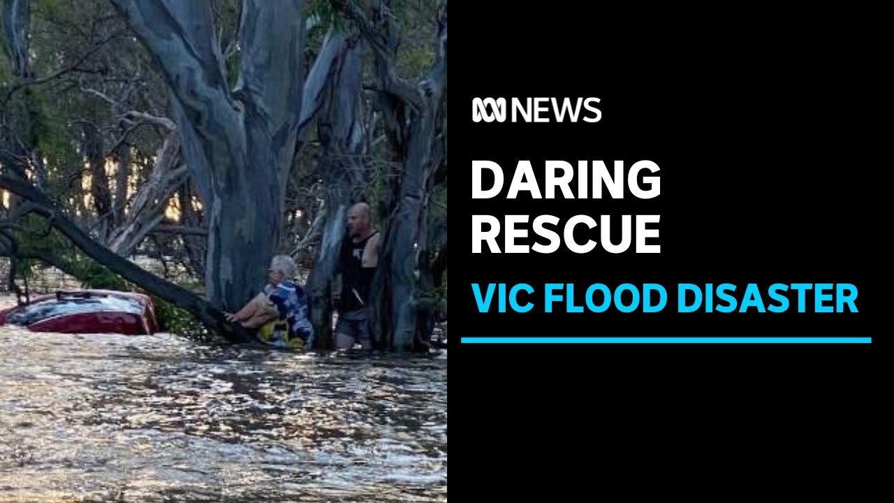 Good Samaritan rescues woman trapped in Victoria floodwaters | ABC News ...